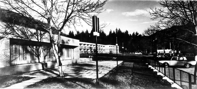 176 - Cozia. Motelul